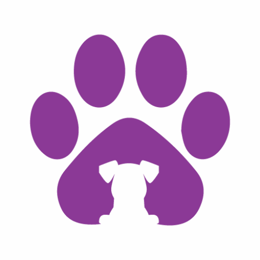 cropped-ico2.png